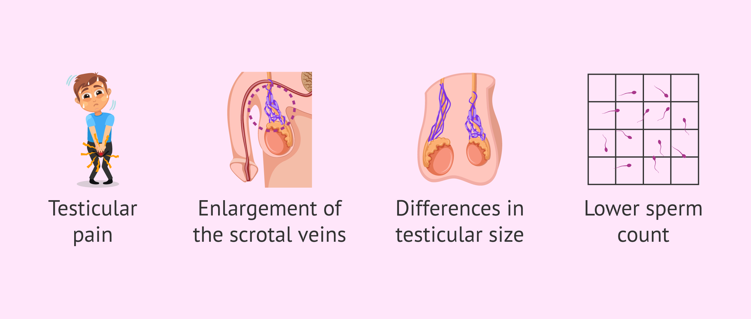 varicocele surgery cost in turkey